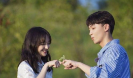 娱乐圈吃瓜科学是什么意思,揭秘娱乐圈八卦背后的真相与规律